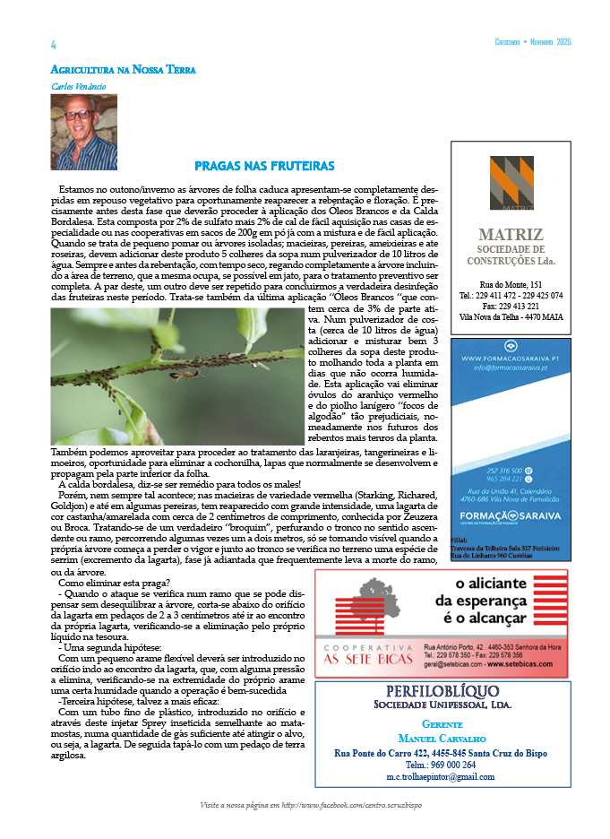 Número 288 | Novembro 2025